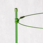 Кустодержатель, 4 кольца, d = 28 см, h = 90 см, металл, зелёный, Greengo - Фото 2