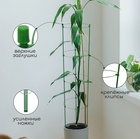 Кустодержатель, 4 кольца, d=26.5 см, h=120 см, металл, зелёный, Greengo - Фото 3