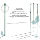 Кустодержатель, 4 кольца, d=26.5 см, h=120 см, металл, зелёный, Greengo - Фото 2