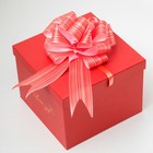 Бант-шар №4.5 "Тонкие полосы", цвет красный - Фото 3