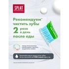 Зубная паста Splat Professional «Лечебные травы», 100 г - Фото 6