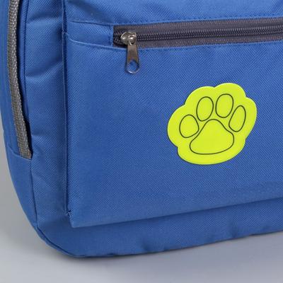 Светоотражающие наклейки «Лапка», 4.8×4.5 см, 4 шт. на листе, МИКС