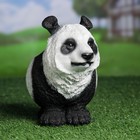 Фигурное кашпо "Панда" 20х20 см - Фото 1