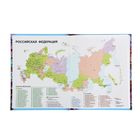 Дневник для 5-11 класса, твердая обложка "Незабудки", 48 листов, матовая ламинация, блёстки - Фото 2