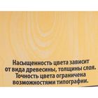 Лак водно – дисперсионный тонированный «ЛАКРА», сосна, 0.9 кг - Фото 2