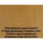 Лак водно – дисперсионный тонированный «ЛАКРА», цвет дуб, 0.9 кг - Фото 2