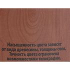 Лак водно – дисперсионный тонированный «ЛАКРА», цвет орех, 0.9 кг - Фото 2