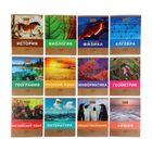 Комплект предметных тетрадей "Чудо природы" 48 листов, 12 штук в упаковке, матовая ламинация - Фото 1