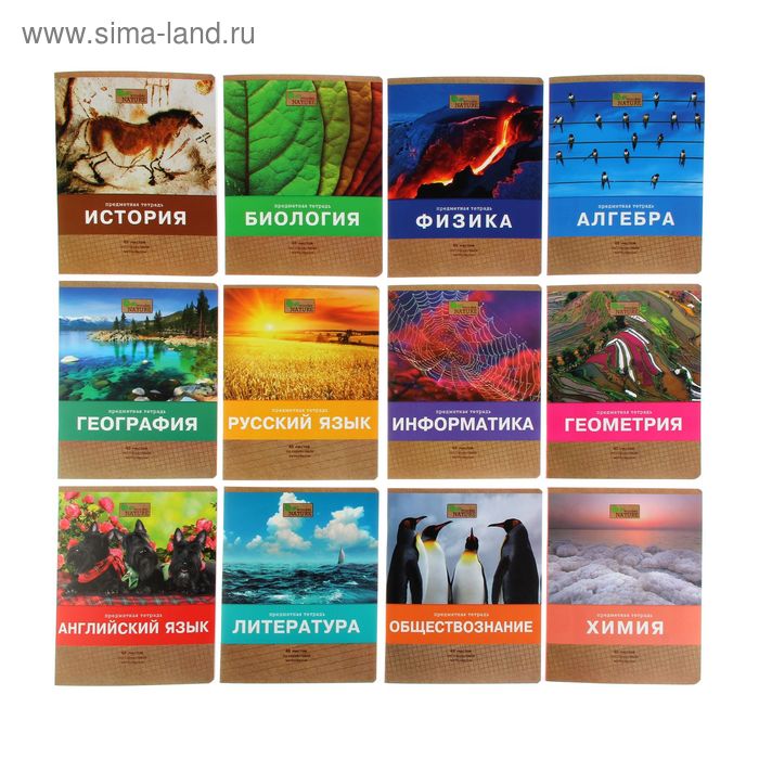 Комплект предметных тетрадей "Чудо природы" 48 листов, 12 штук в упаковке, матовая ламинация - Фото 1