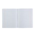 Комплект предметных тетрадей "Чудо природы" 48 листов, 12 штук в упаковке, матовая ламинация - Фото 3