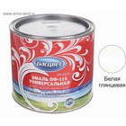 Эмаль атмосферостойкая алкидная «Расцвет. ПФ – 115», цвет белый глянец, 1.9 кг - Фото 2