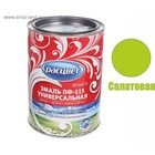 Эмаль атмосферостойкая алкидная «Расцвет. ПФ – 115», цвет салатовый, 0.9 кг - Фото 2