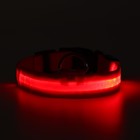Ошейник с подсветкой размер L, ОШ 45-52 х 2,5 см, 3 режима свечения красный - фото 9877943