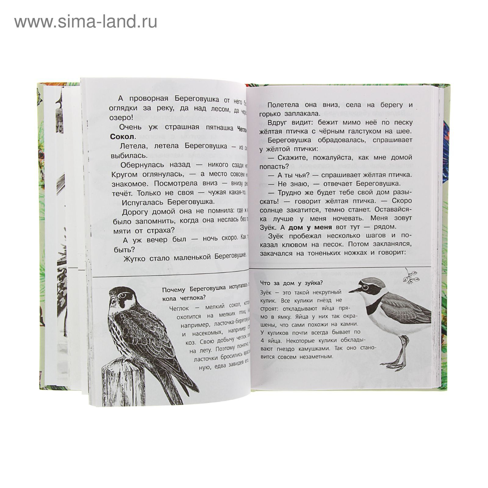 Лесные домишки. Бианки В.В. (1339898) - Купить по цене от 177.05 руб. |  Интернет магазин SIMA-LAND.RU