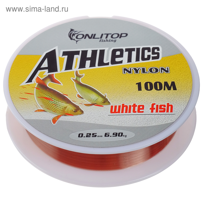 Леска White fish, d=0,25 мм, 100 м - Фото 1