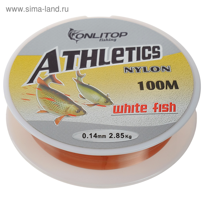 Леска White fish, d=0,14 мм, 100 м - Фото 1