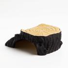 Укрытие для террариума под дерево, 13.5×9×5 см - Фото 4