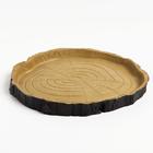 Кормушка - поилка для террариума, 16.5×15.5×1.5 см - Фото 1