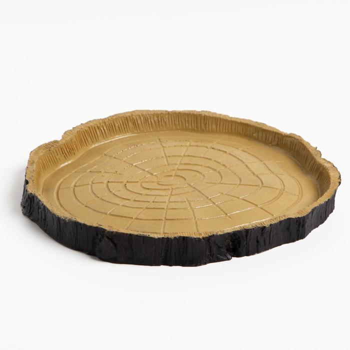 Кормушка - поилка для террариума, 16.5×15.5×1.5 см - Фото 1