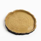 Кормушка - поилка для террариума, 16.5×15.5×1.5 см - Фото 2