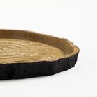 Кормушка - поилка для террариума, 16.5×15.5×1.5 см - Фото 3