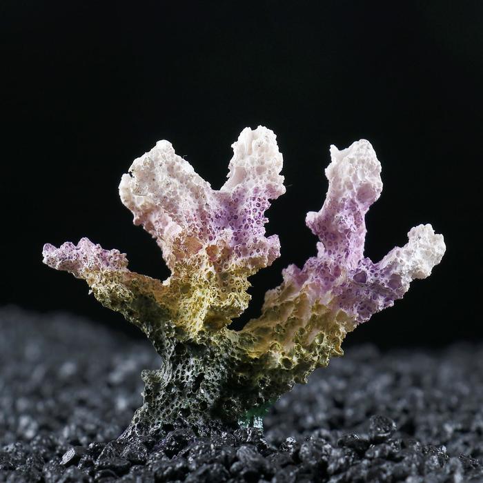 Декоративный коралл "Синулярия", 7 х 4 х 7 см - Фото 1