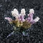 Декоративный коралл "Синулярия", 7 х 4 х 7 см - Фото 2