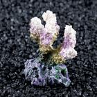 Декоративный коралл "Синулярия", 7 х 4 х 7 см - фото 8273578