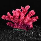 Декоративный коралл "Синулярия", 10 х 5 х 6,5 см - Фото 2