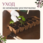 Набор садового инструмента для комнатных растений, 3 предмета: грабли, 2 лопатки, длина 24 см, деревянные ручки, Greengo - Фото 3