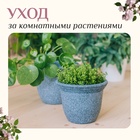 Набор садового инструмента для комнатных растений, 3 предмета: грабли, 2 лопатки, длина 24 см, деревянные ручки, Greengo - Фото 5