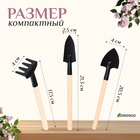 Набор садового инструмента для комнатных растений, 3 предмета: грабли, 2 лопатки, длина 24 см, деревянные ручки, Greengo - Фото 6