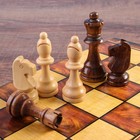 Настольная игра 3 в 1 "Классическая": шахматы, шашки, нарды (доска дерево 40х40 см) - Фото 2