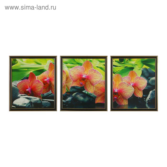 Картина модульная "Розовая орхидея" 3шт-33х38см;  38х99 см - Фото 1