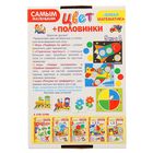 Настольная игра «Самым маленьким. Цвет + половинки» - Фото 3