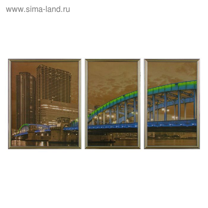 Картина модульная в раме "Зелёный мост" 2шт.-30*50 см; 40*50 см 50х100 см - Фото 1
