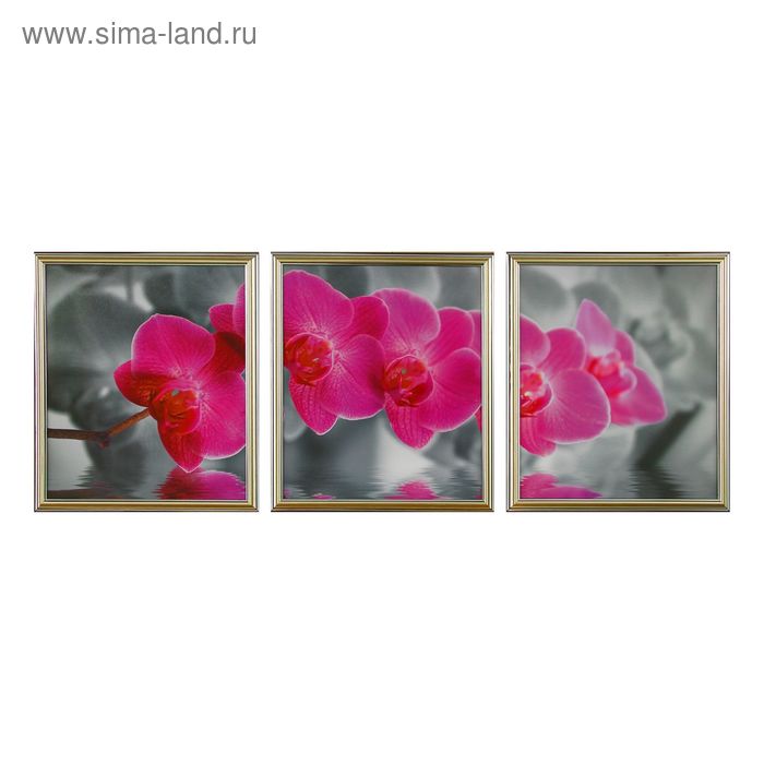 Картина модульная "Яркая орхидея" 3шт-33х38см;  38х99 см - Фото 1