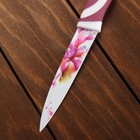 Нож кухонный кухонный с антиналипающим покрытием «Весна», 12,5 см, цвет МИКС - Фото 7