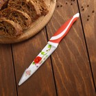 Нож кухонный кухонный с антиналипающим покрытием «Весна», 12,5 см, цвет МИКС - Фото 9