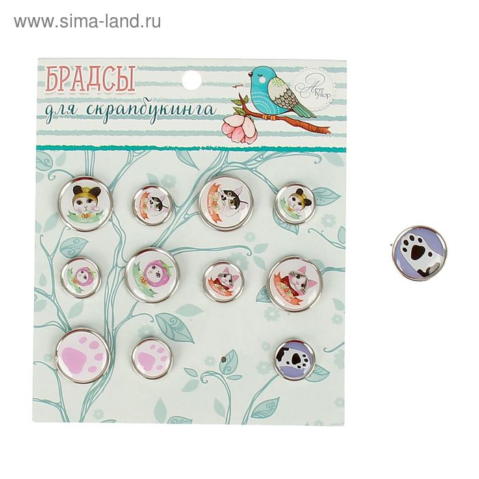 Брадсы для скрапбукинга "Кошачья нежность" ( набор 12 шт., 1,9см,1,4см.) 13х11 см - Фото 1
