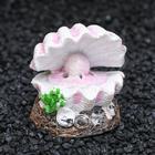 Распылитель «Раковина с жемчужиной», 5×3.5×5 см - Фото 1