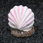 Распылитель «Раковина с жемчужиной», 5×3.5×5 см - Фото 3