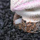 Распылитель «Раковина с жемчужиной», 5×3.5×5 см - Фото 6