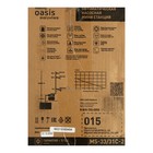 Насосная станция Oasis MS 33/31C-2, 370 Вт, напор 31 м, 33 л/мин, бак 2 л - фото 9545671