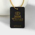 Чайник заварочный Wilmax Olivia «Классика», 1.1 л, фарфор, белый - Фото 8