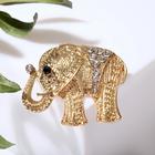 Брошь «Слон индийский», цвет белый в золоте - фото 8337649