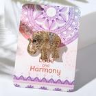 Брошь «Слон индийский», цвет белый в золоте - Фото 1