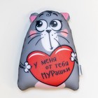 Игрушка-антистресс «У меня от тебя мурашки», Котэ - фото 3793339