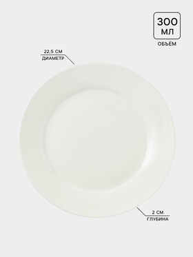 Тарелка обеденная Доляна White Label, 300 мл, d=22.5 см, с утолщённым краем, фарфор, белая (комплект 2 шт)