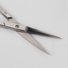 Ножницы маникюрные, прямые, 10 см, цвет серебристый, NS-1/2-S(ST) - Фото 2